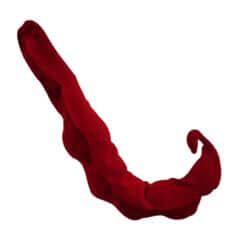 Tail Company Moving Scorpion Tail